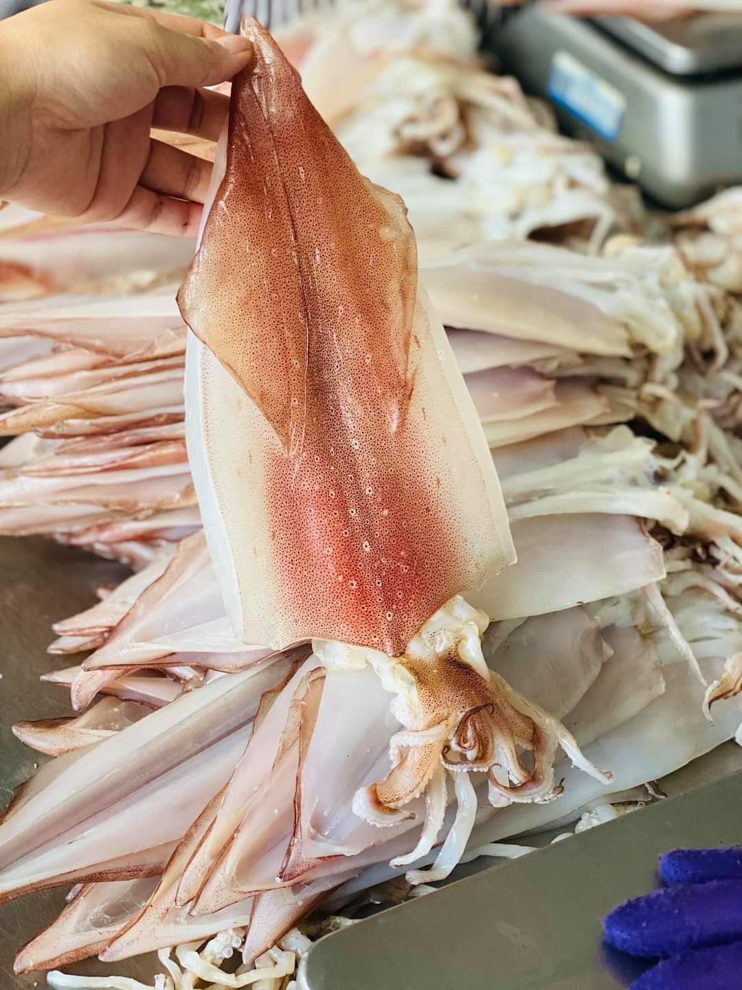Mực một nắng